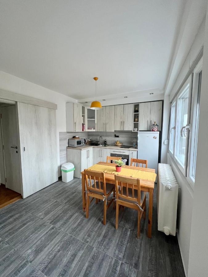 Comfortable Apartment In City Hub Βελιγράδι Εξωτερικό φωτογραφία