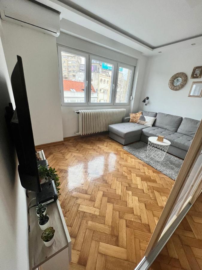 Comfortable Apartment In City Hub Βελιγράδι Εξωτερικό φωτογραφία
